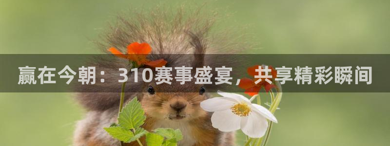 新闻图片