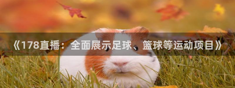 新闻图片