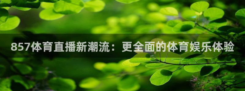 857体育直播新潮流：更全面的体育娱乐体验