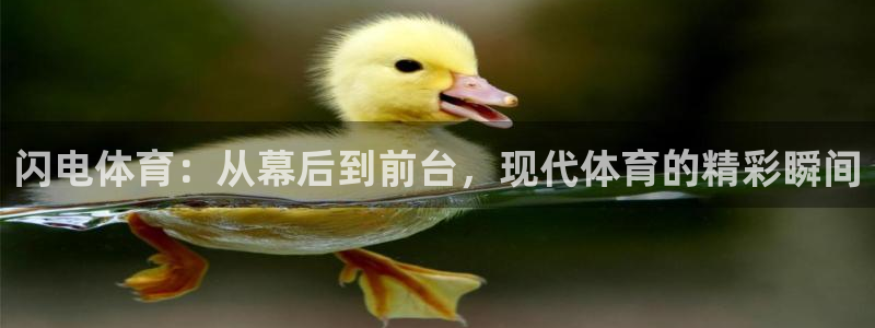 闪电体育：从幕后到前台，现代体育的精彩瞬间