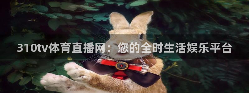 310tv体育直播网：您的全时生活娱乐平台