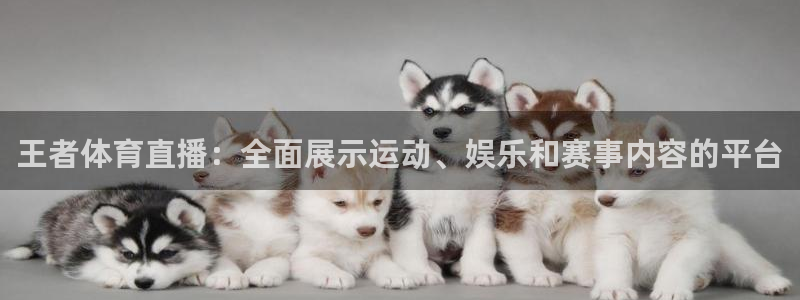 王者体育直播：全面展示运动、娱乐和赛事内容的平台