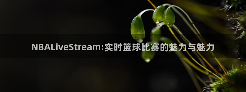 NBALiveStream:实时篮球比赛的魅力与魅力