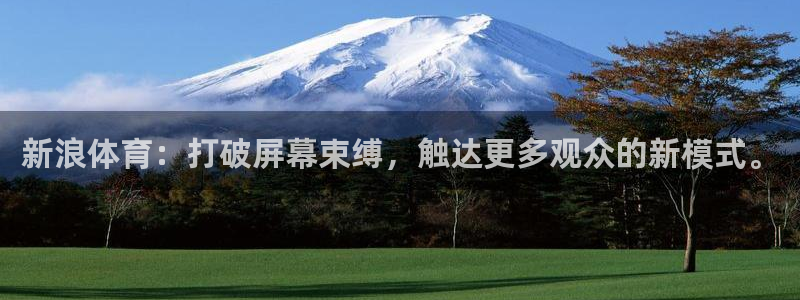 新浪体育：打破屏幕束缚，触达更多观众的新模式。