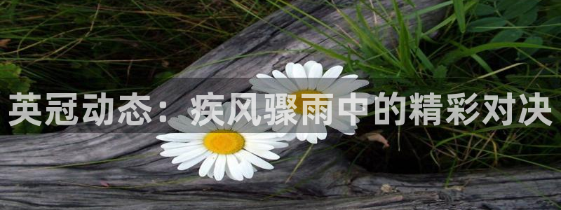英冠动态：疾风骤雨中的精彩对决