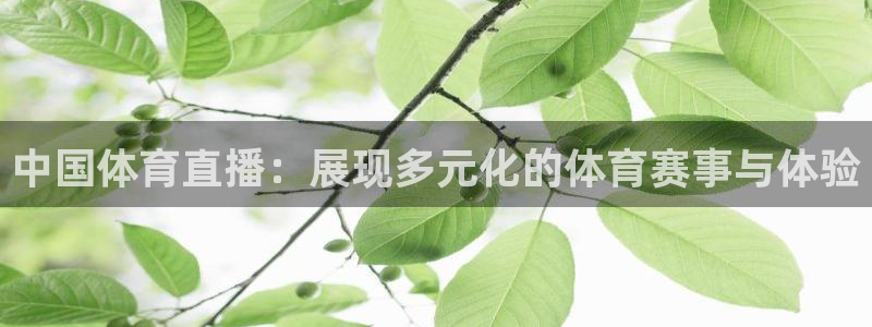 中国体育直播：展现多元化的体育赛事与体验