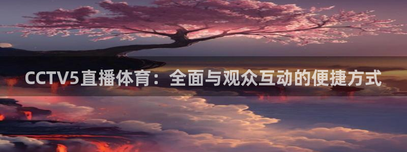 CCTV5直播体育：全面与观众互动的便捷方式