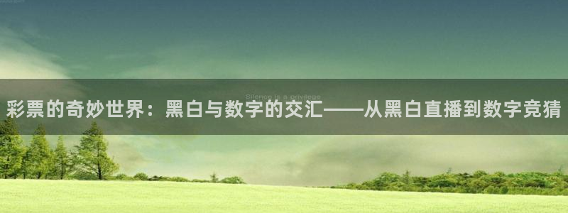 彩票的奇妙世界：黑白与数字的交汇——从黑白直播到数字竞猜