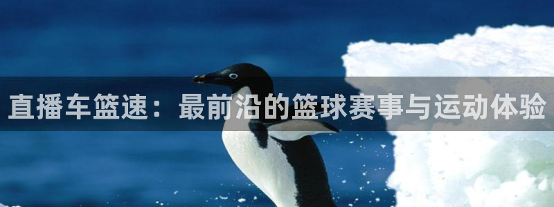 直播车篮速：最前沿的篮球赛事与运动体验