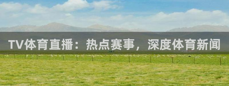 TV体育直播：热点赛事，深度体育新闻