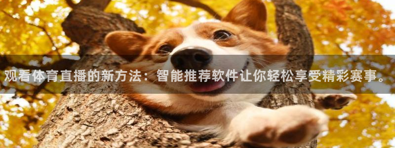 观看体育直播的新方法：智能推荐软件让你轻松享受精彩赛事。
