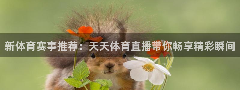 新体育赛事推荐：天天体育直播带你畅享精彩瞬间
