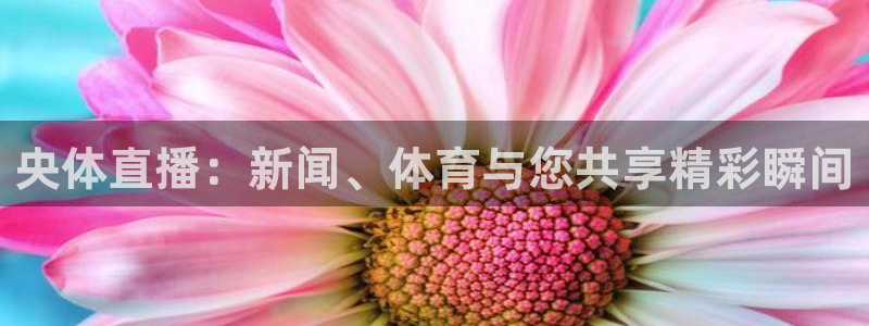 央体直播：新闻、体育与您共享精彩瞬间