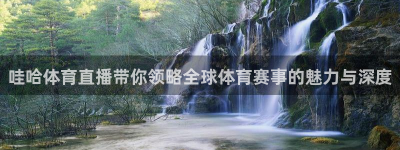 哇哈体育直播带你领略全球体育赛事的魅力与深度