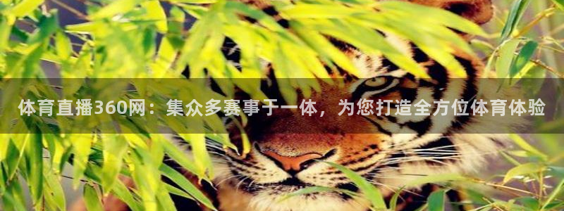 体育直播360网：集众多赛事于一体，为您打造全方位体育体验