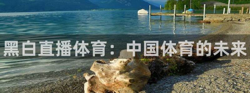 黑白直播体育：中国体育的未来