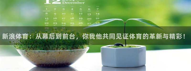 新浪体育：从幕后到前台，你我他共同见证体育的革新与精彩！