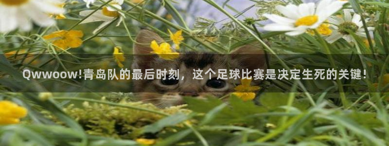 Qwwoow!青岛队的最后时刻，这个足球比赛是决定生死的关键!