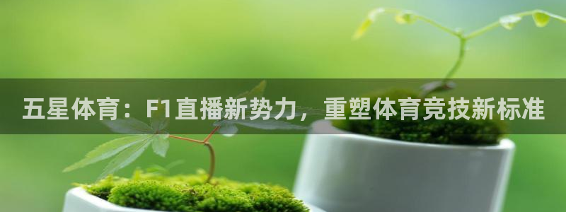 五星体育：F1直播新势力，重塑体育竞技新标准