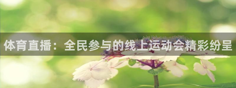 体育直播：全民参与的线上运动会精彩纷呈