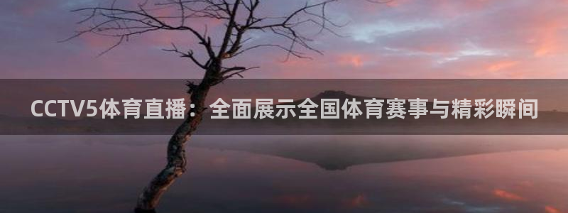 CCTV5体育直播：全面展示全国体育赛事与精彩瞬间