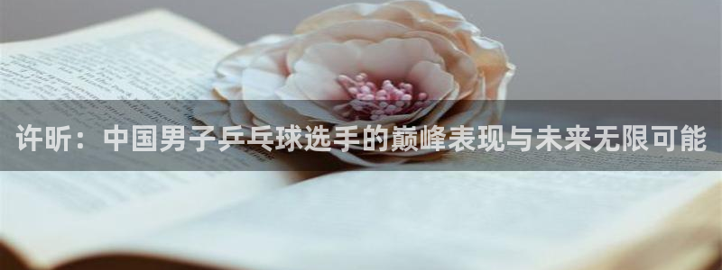 许昕：中国男子乒乓球选手的巅峰表现与未来无限可能