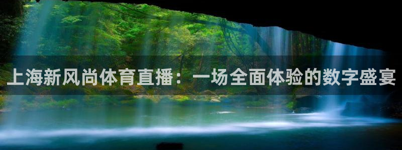 上海新风尚体育直播：一场全面体验的数字盛宴
