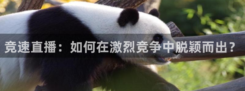 竞速直播：如何在激烈竞争中脱颖而出？