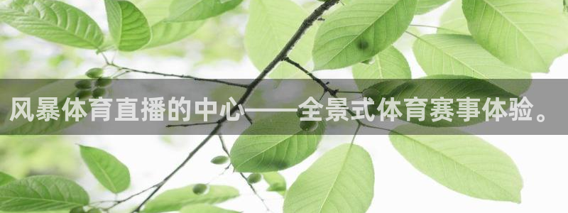 风暴体育直播的中心——全景式体育赛事体验。