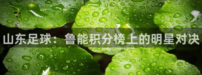 山东足球：鲁能积分榜上的明星对决