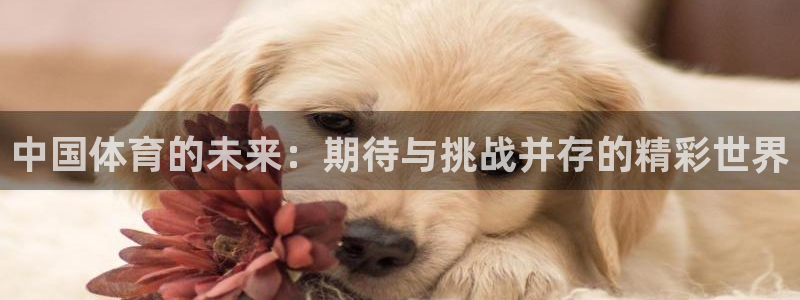 中国体育的未来：期待与挑战并存的精彩世界