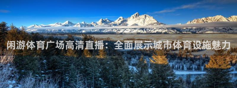 闲游体育广场高清直播：全面展示城市体育设施魅力