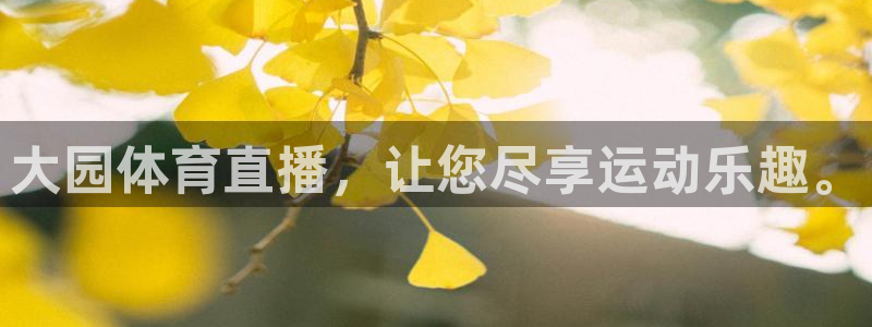 大园体育直播，让您尽享运动乐趣。