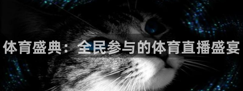 体育盛典：全民参与的体育直播盛宴