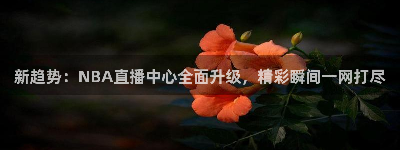 新趋势：NBA直播中心全面升级，精彩瞬间一网打尽