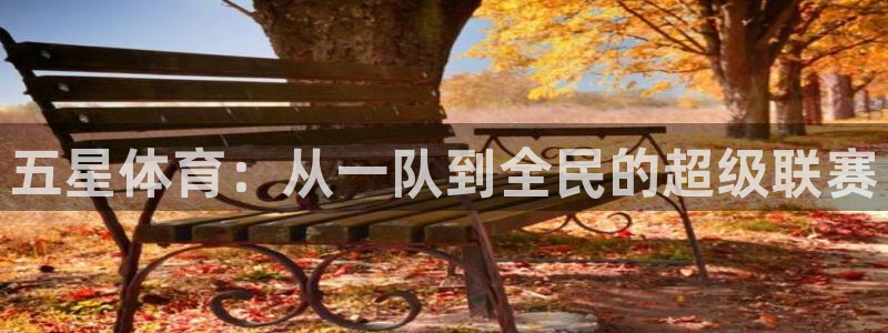 五星体育：从一队到全民的超级联赛