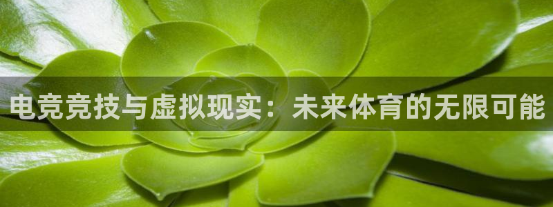 电竞竞技与虚拟现实：未来体育的无限可能
