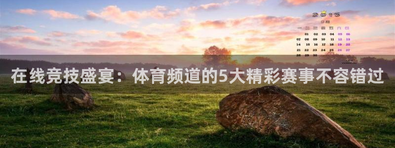 在线竞技盛宴：体育频道的5大精彩赛事不容错过